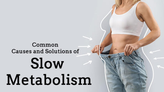 Slow Metabolism
