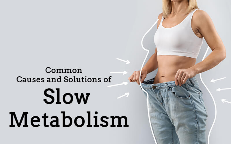 Slow Metabolism