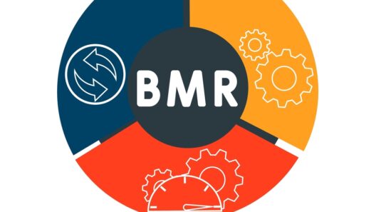 Basal Metabolic rate (BMR) image