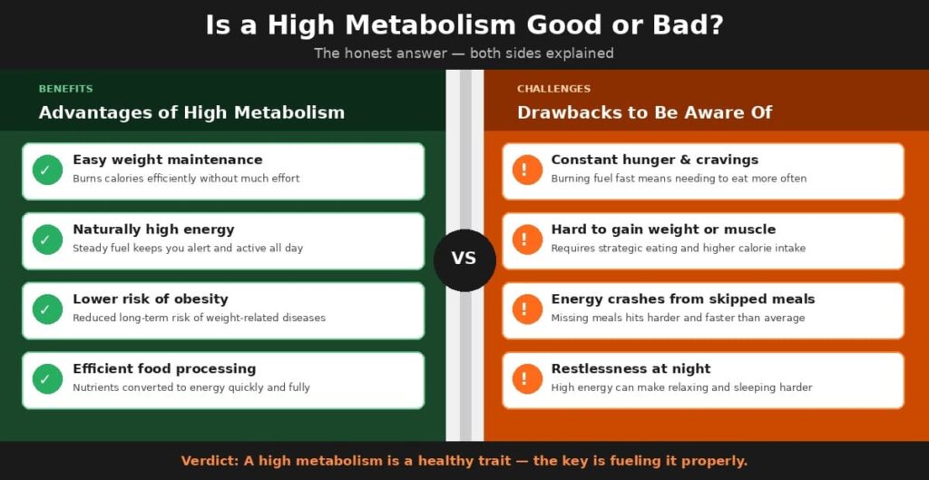 Is a high metabolism good or bad, showing the benefits and challenges of signs of high metabolism --- signs of fast metabolism