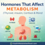 Hormones That Affect Metabolism chart