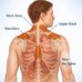 how to activate brown fat naturally (brown fat)
