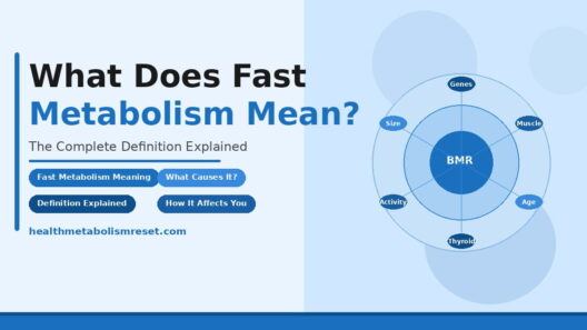 What does fast metabolism mean full explanation with diagram showing BMR and factors like genes, muscle, age, thyroid, and activity.