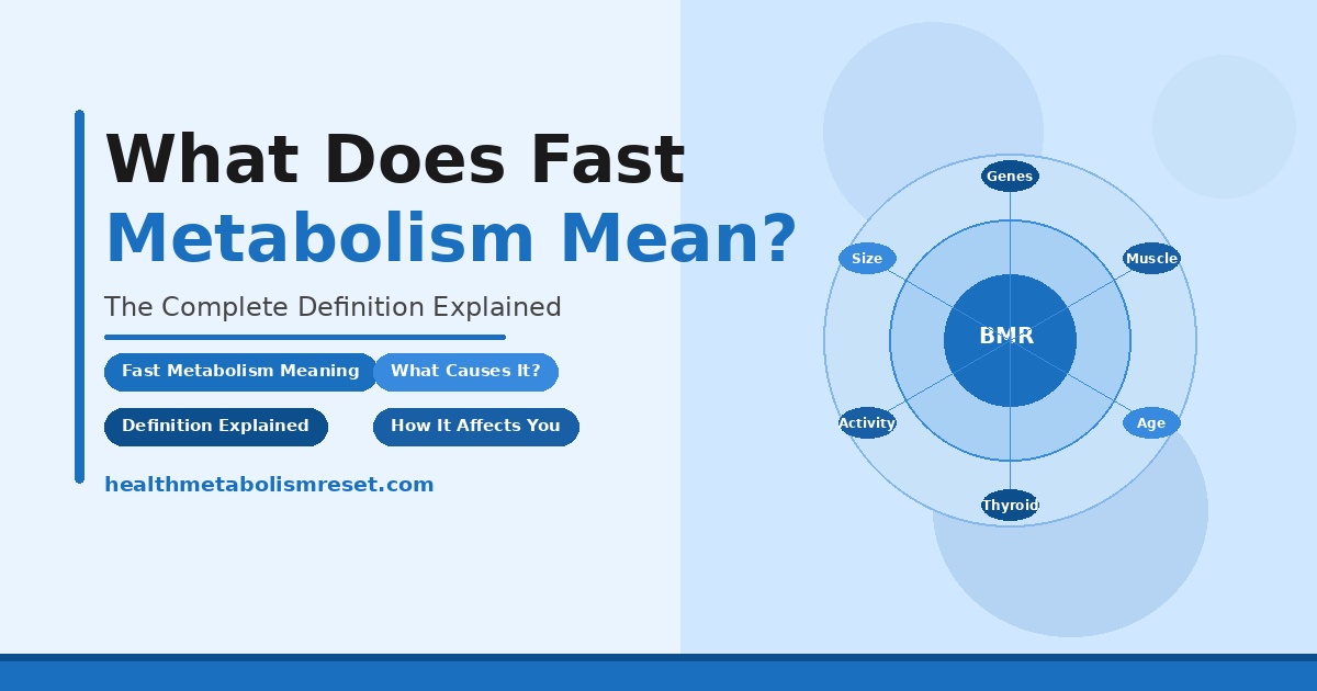 What does fast metabolism mean full explanation with diagram showing BMR and factors like genes, muscle, age, thyroid, and activity.